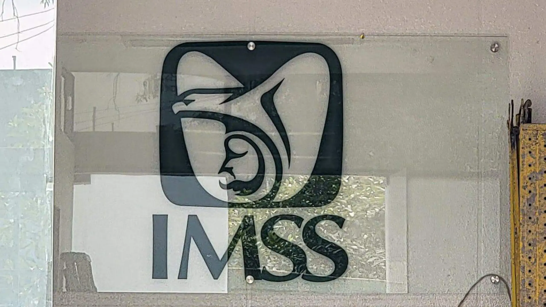 IMSS Aurelio Magaña (7)